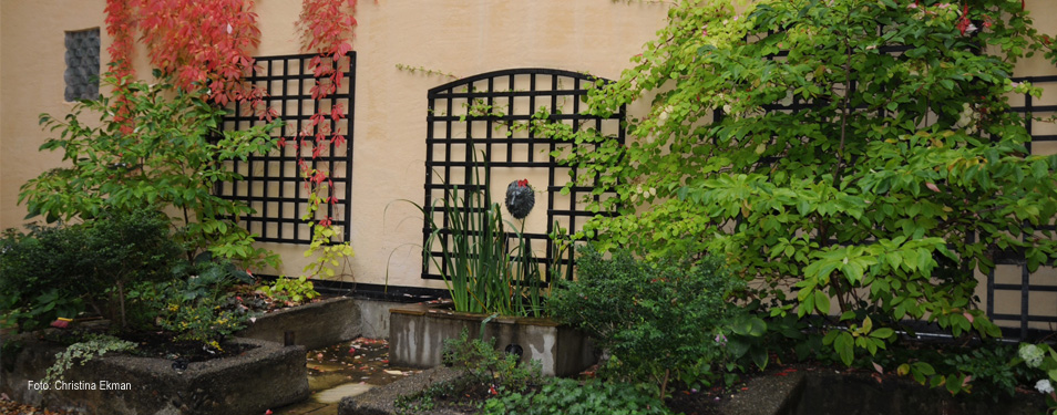 Stadgar